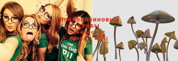 МДПВ Няндома