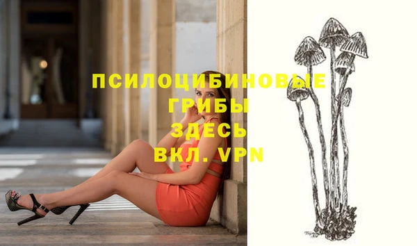 MDMA Premium VHQ Нязепетровск