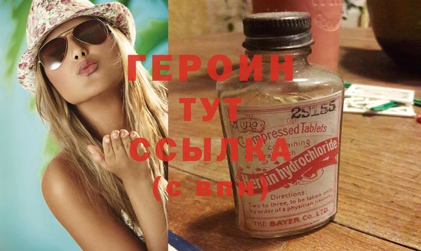 сатива Новозыбков