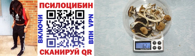 Псилоцибиновые грибы ЛСД  hydra онион  Кадников 