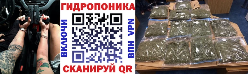 сколько стоит  Кадников  Бошки марихуана Amnesia 